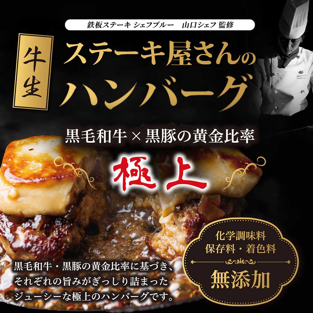 ステーキ屋さんの極上ハンバーグ 翡翠-Hisui-(ハンバーグ6個)