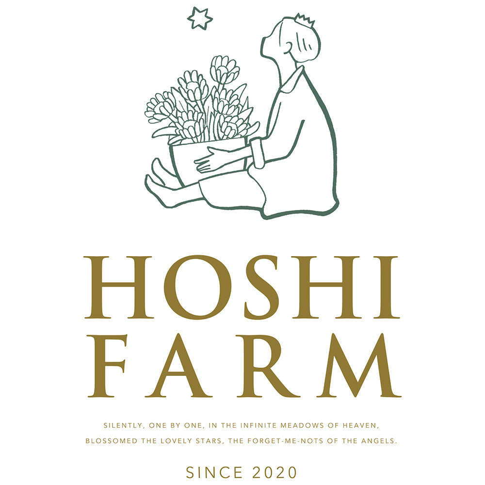 ホシファーム カフェブーケ 5本&ホシフルーツ スイーツバスケット