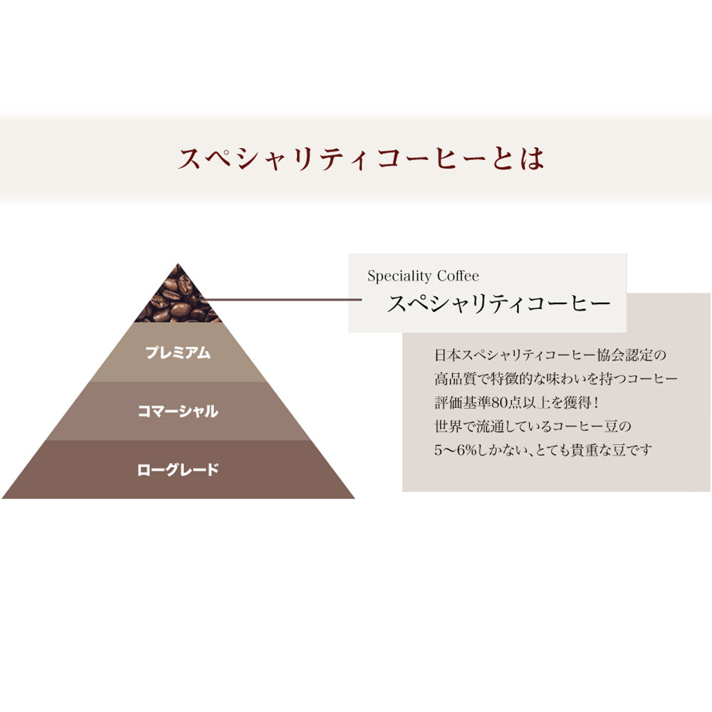 デカフェコーヒー専門 イノセントコーヒー WAN coffeeドリップバッグセット 10pc