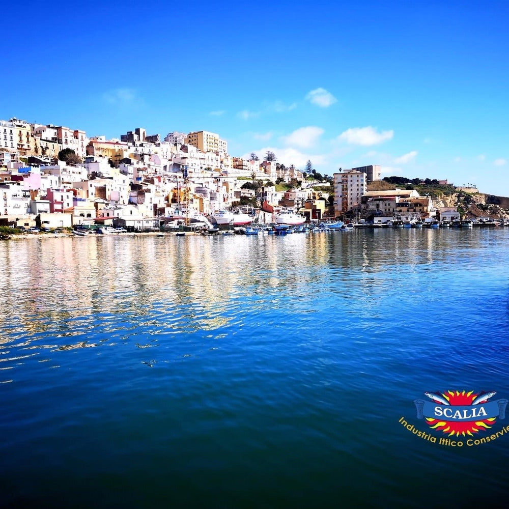 シチリアセット(アルベルトEXVオリーブオイル、アンチョビ45g、ブジアーテ) MF-H