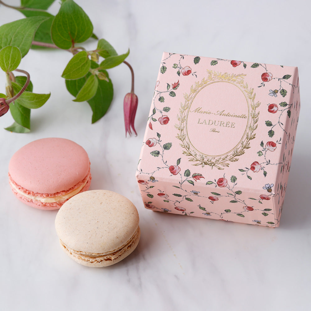LADUREE(ラデュレ)マリー・アントワネット