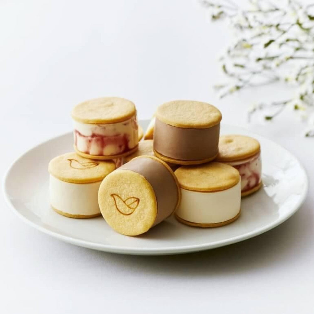 京都チーズケーキ専門店 ソラアオ アイスチーズケーキサンド 3種計6個【2箱】