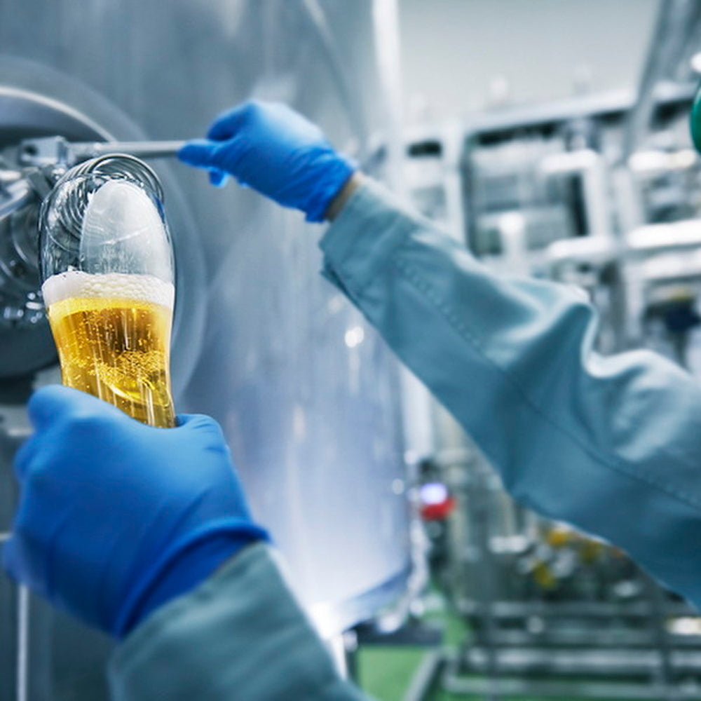 FUJI PREMIUM BREWING ラガー・ホワイト飲み比べセット(2本)