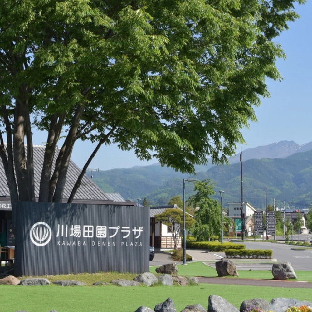 KAWABA(カワバ)川場ビール4種詰め合わせセット