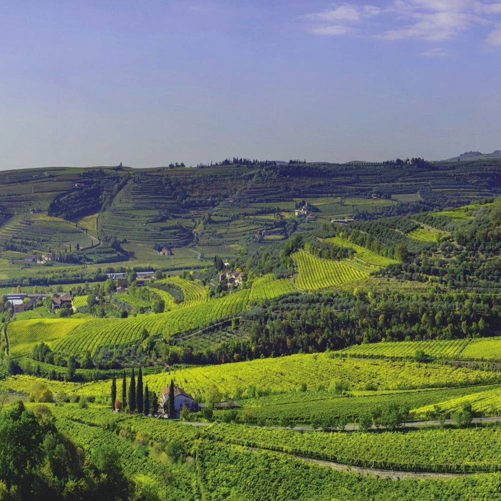 リオンド3本セット ML-A