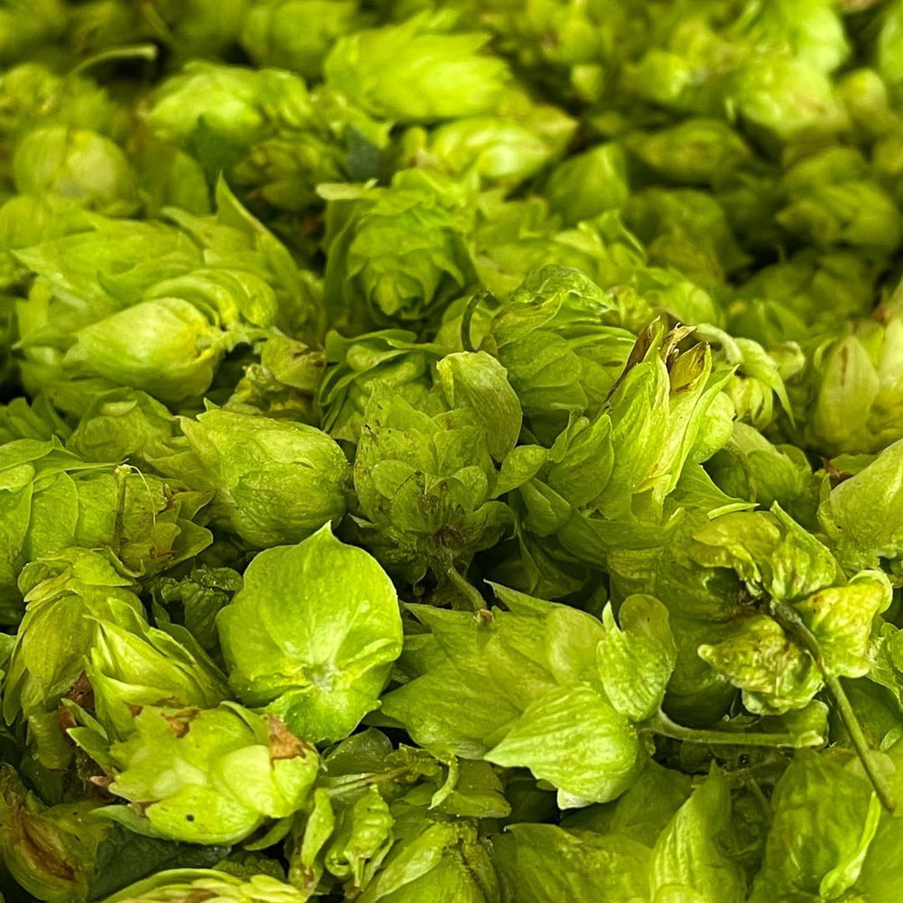 多摩川源流生まれのクラフトビール ファーイーストIPA 350ml 48本