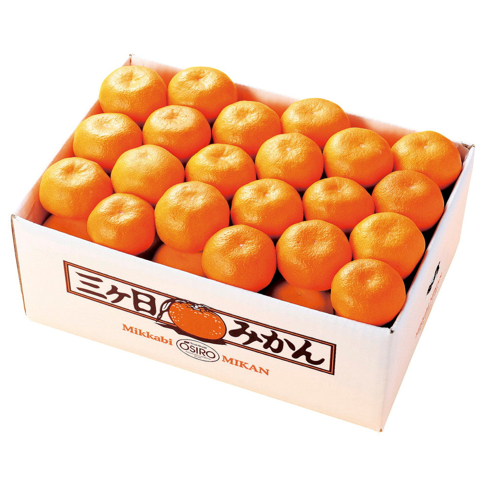 三ヶ日みかん(10kg) – AOYAMA GIFT SALON