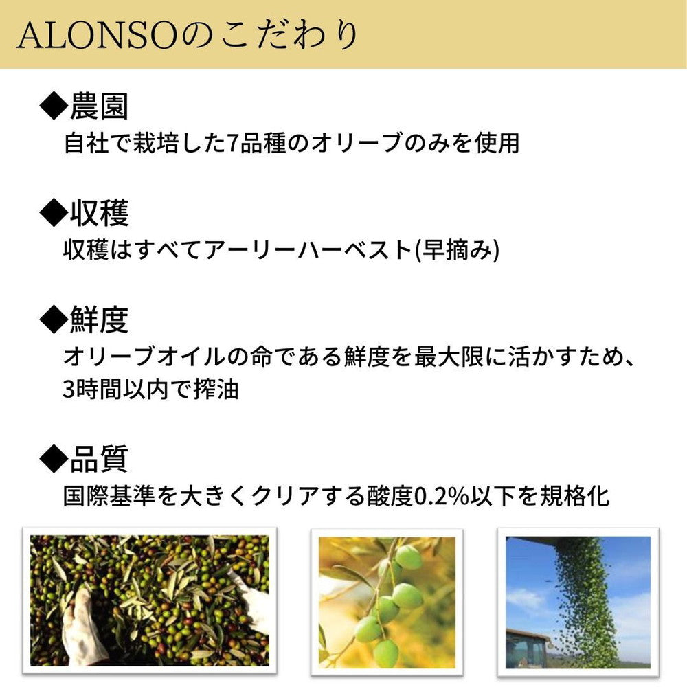 【受賞歴多数】 ALONSO エクストラヴァージンオリーブオイル250ml 1本（BLEND）