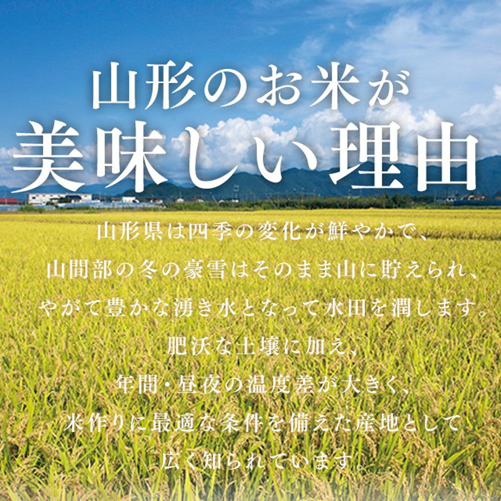 山形県産はえぬき 5kg(5袋)