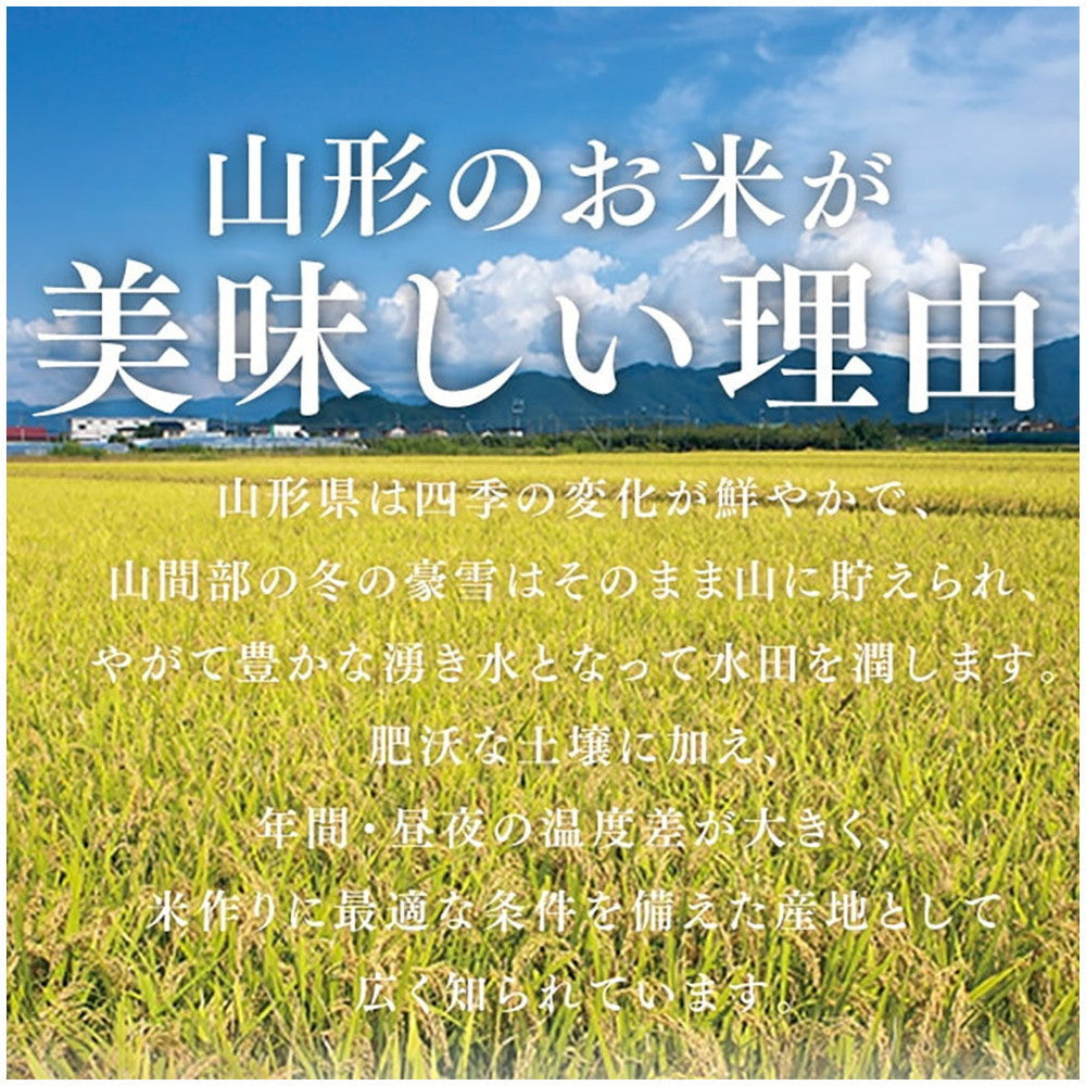 山形県産つや姫 5kg(2袋)