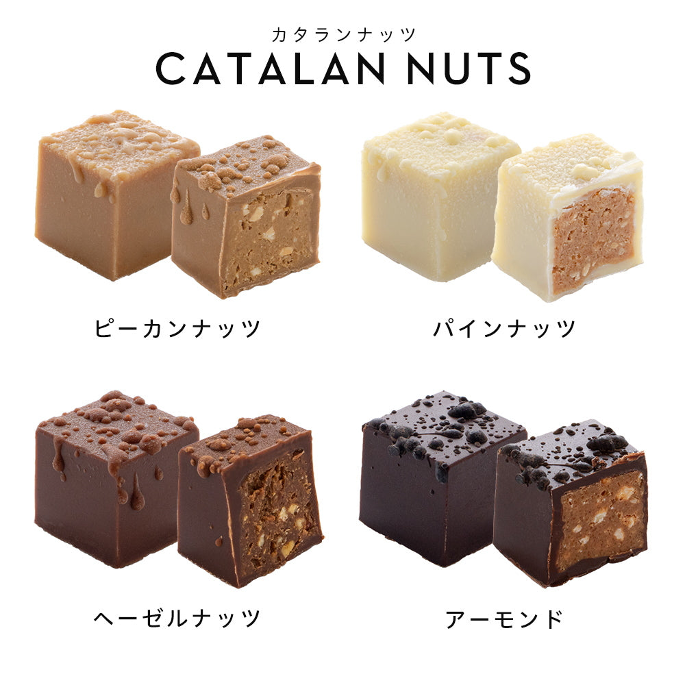 ブボ・バルセロナ　キューブボンボン　カタランナッツ（4種）