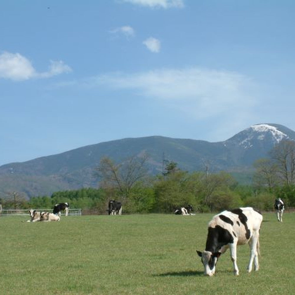 長門牧場「カルピス(株)バター」アイスクリーム　ミルク＆バター７個