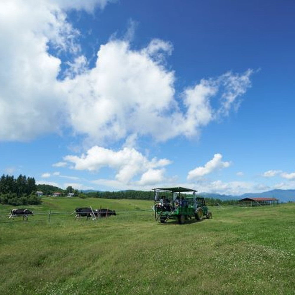 長門牧場「カルピス(株)バター」アイスクリーム　ミルク＆バター７個