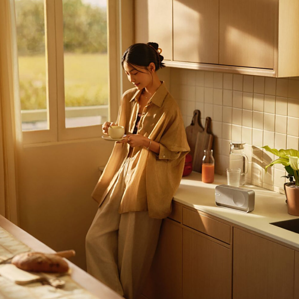 BOSE（ボーズ）SoundLink Home Bluetooth Speaker（ライトシルバー）