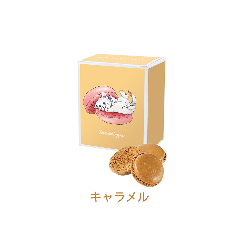 1802年パリ創業　ダロワイヨ　ニャカロンラスク 3個セットB