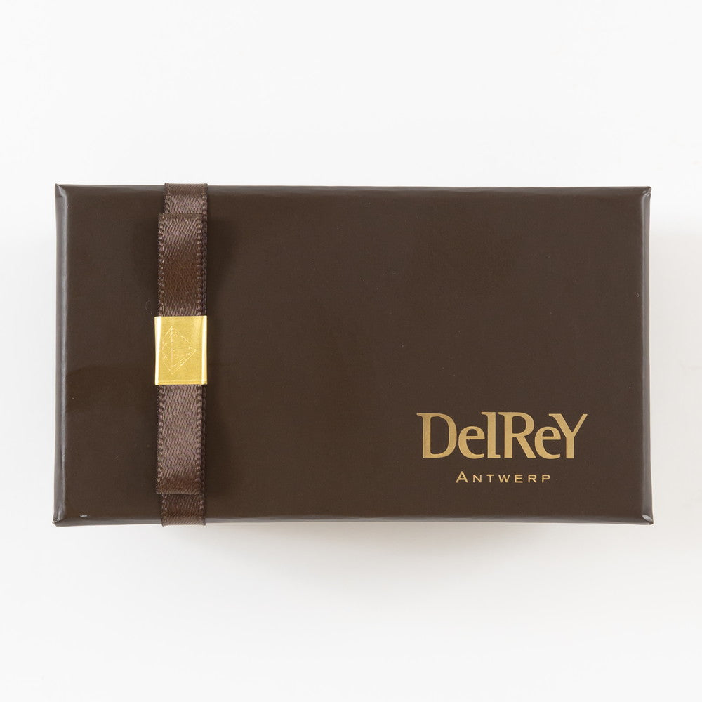 ベルギー高級老舗チョコ DelRey（デルレイ）アントワープセレクションBOX 2個入り2セット