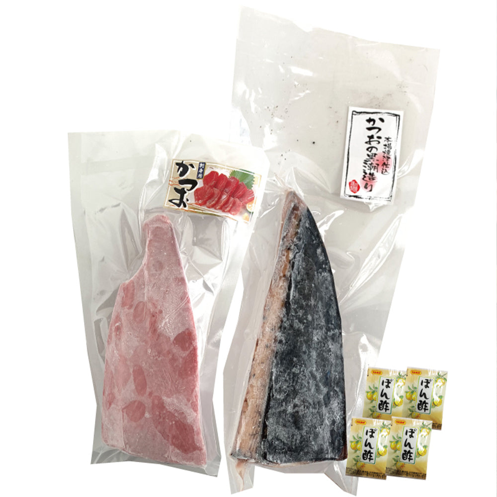 静岡　一本釣り鰹尽くし