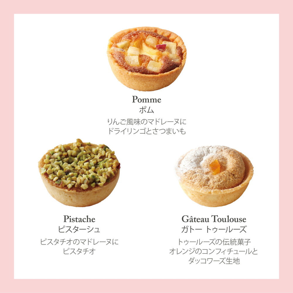 セバスチャン・ブイエ タルトレット 9個