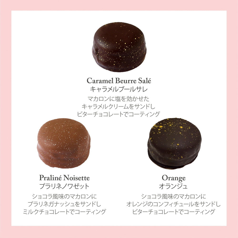 セバスチャン・ブイエ マカリヨン 6個