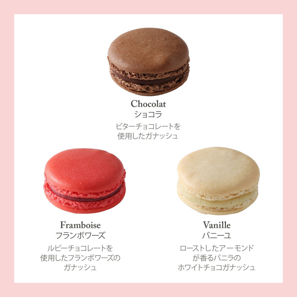 セバスチャン・ブイエ マカロン 6個