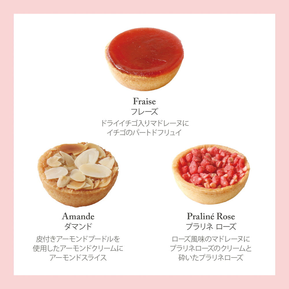 セバスチャン・ブイエ アソートバリエ S