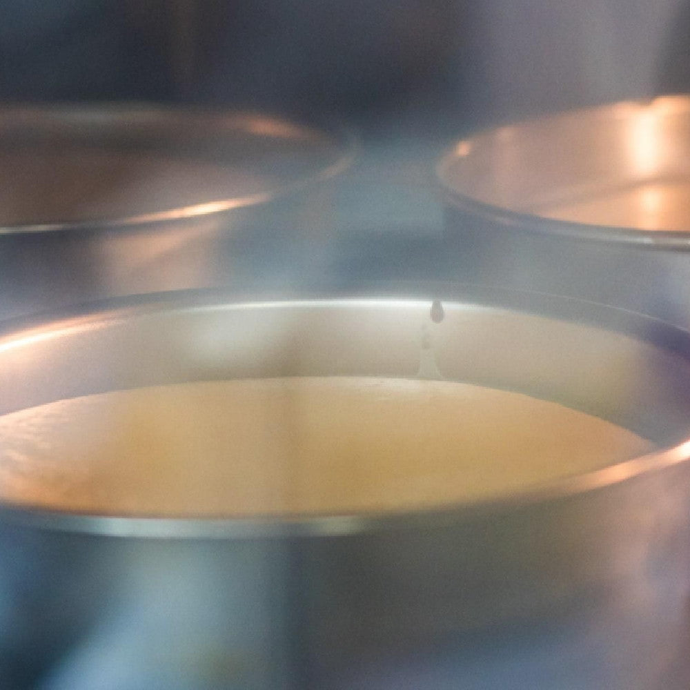 京都チーズケーキ専門店 ソラアオ　京都佐々木酒造の日本酒チーズケーキ