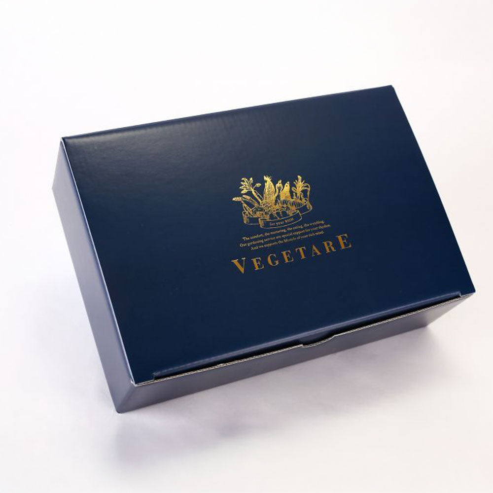 ベジターレ　とれたて野菜と果実の生ジェラート　6種食べ比べ