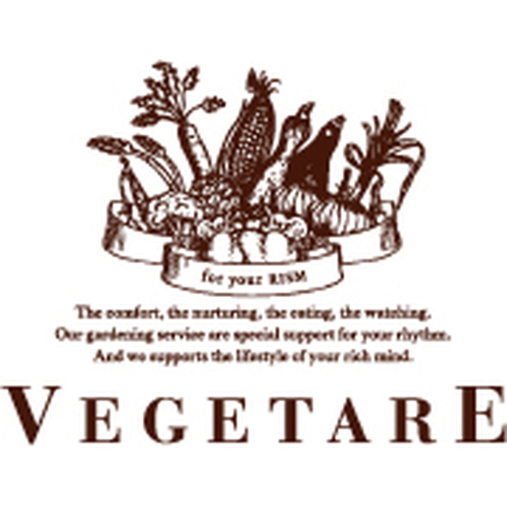 ベジターレ　とれたて野菜と果実の生ジェラート　6種食べ比べ