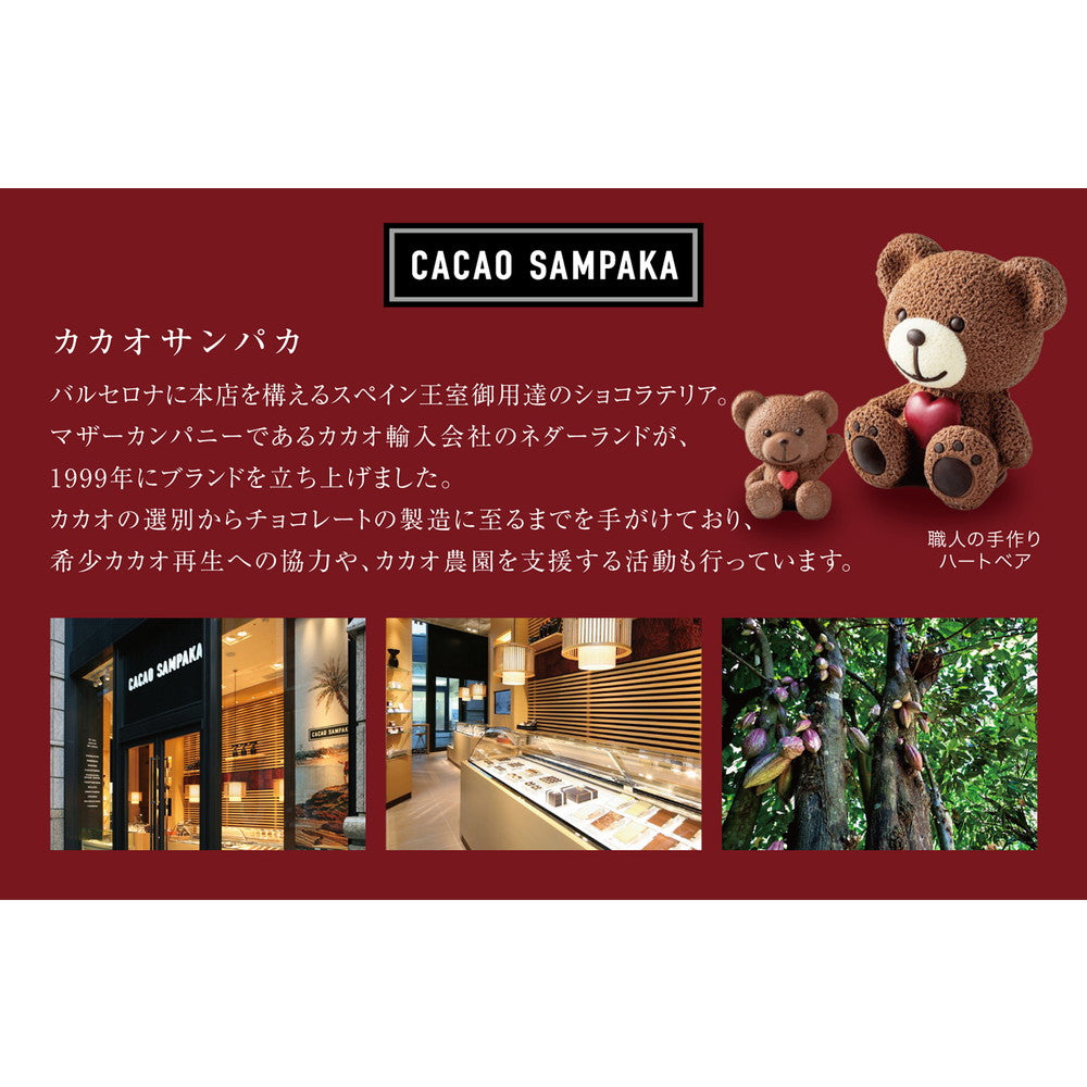 スペイン王室御用達ショコラテリア「カカオサンパカ」ショコラアソート