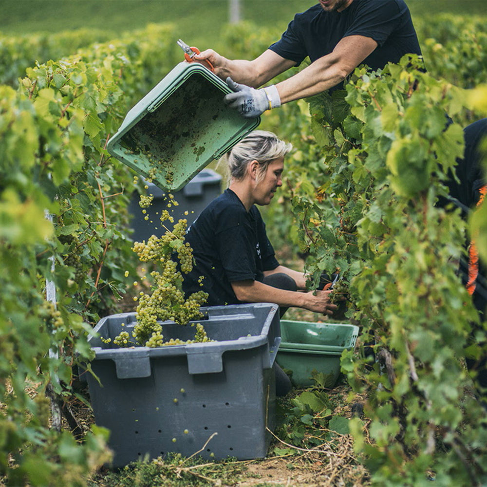 モエ・エ・シャンドン アイス アンペリアル  750ml　2本