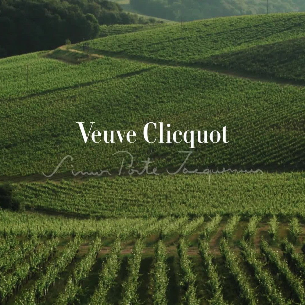 ヴーヴ クリコ リッチオンアイス ロゼ  750ml　2本