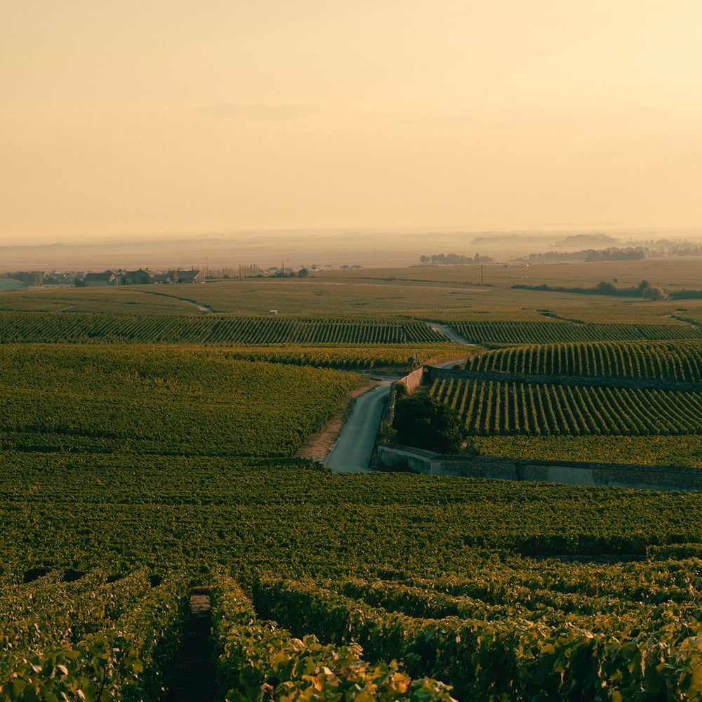 ヴーヴ クリコ ロゼ ヴィンテージ 2015 750ml(4本箱入り)