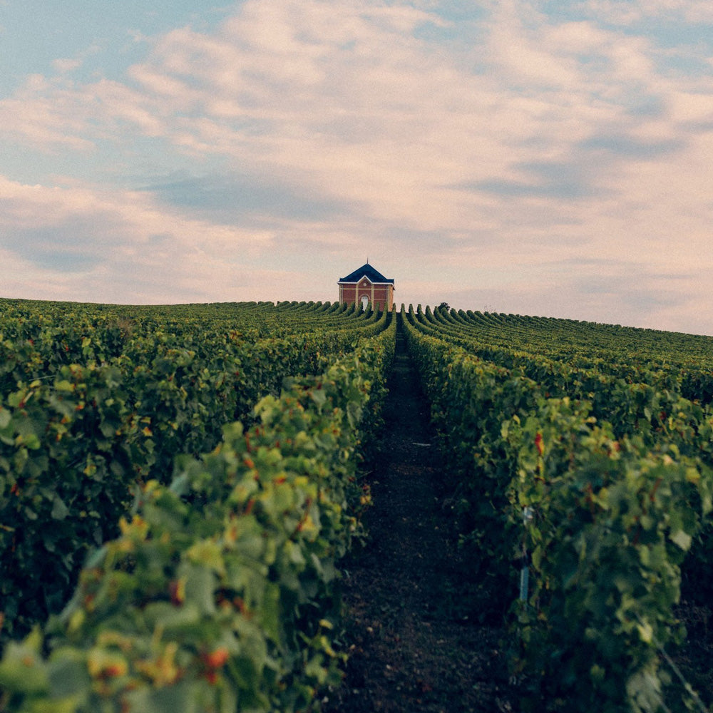 モエ・エ・シャンドン グラン ヴィンテージ ロゼ 2016 750ml箱付 2本