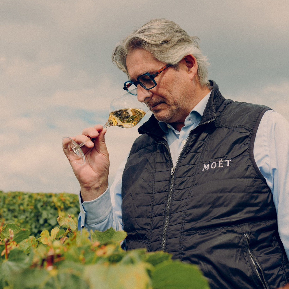 モエ・エ・シャンドン グラン ヴィンテージ ロゼ 2016 750ml箱付 2本