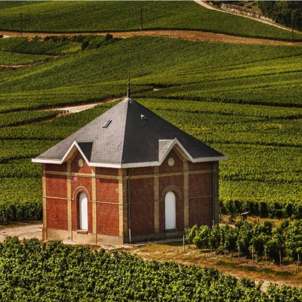 モエ・エ・シャンドン　ロゼ アンぺリアル 750ml　箱付 12本